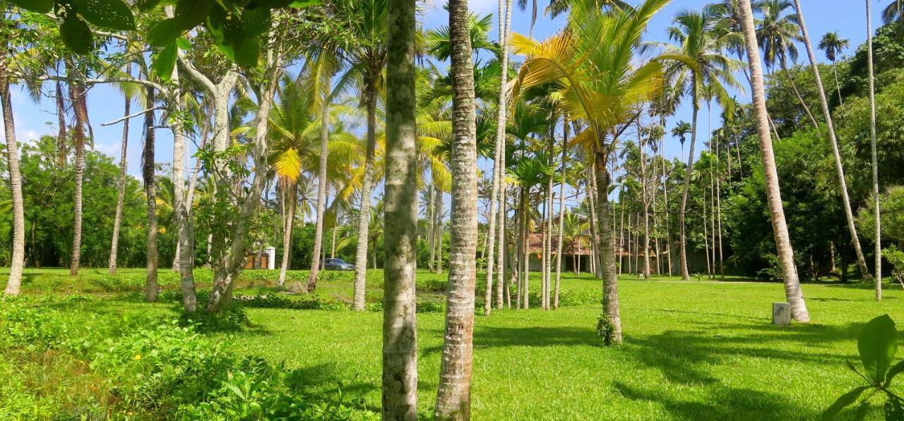 Siri Wedamadura Villa by Colonial Villas in Sri Lanka Weligama Habitación foto